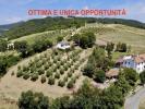 Annonce Vente 6 pi�ces Maison Riparbella