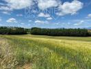 Acheter Maison 32767 m2 Acquapendente