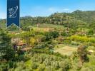 Acheter Maison 568 m2 Massarosa