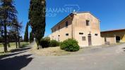 Acheter Maison 7000 m2 Montescudaio