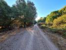 Annonce Vente Terrain Sassari