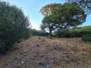 Acheter Terrain Sassari r�gion SASSARI