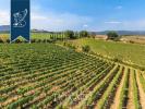 Acheter Maison Montalcino r�gion SIENA