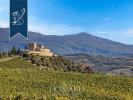 Acheter Maison 9500 m2 Montalcino