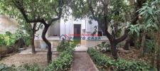 Acheter Appartement 110 m2 Erice