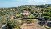 Acheter Maison Scansano r�gion GROSSETO