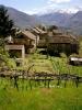 Annonce Vente Maison Piatto