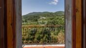 Acheter Appartement Cetona