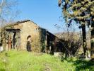 Acheter Maison 541 m2 Bellavista