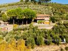 Acheter Maison Poggibonsi r�gion SIENA