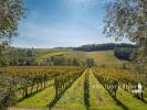 Acheter Maison 2330 m2 Castelfiorentino