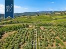 Vente Maison Pontassieve 50065