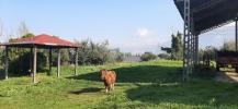 Acheter Maison Bruna r�gion PERUGIA